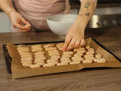 Weihnachtskekse für Hund und Katze – Selberbacken oder kaufen? Weihnachtskekse für Hund und Katze – Selberbacken oder kaufen?