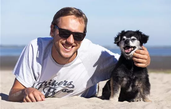 Mit dem Hund auf Reisen Mit dem Hund auf Reisen