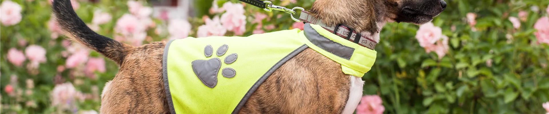 GS535851.jpg GS535851.jpg