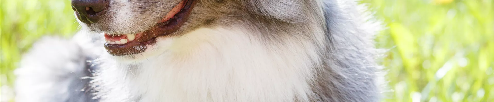 GS532622.jpg GS532622.jpg