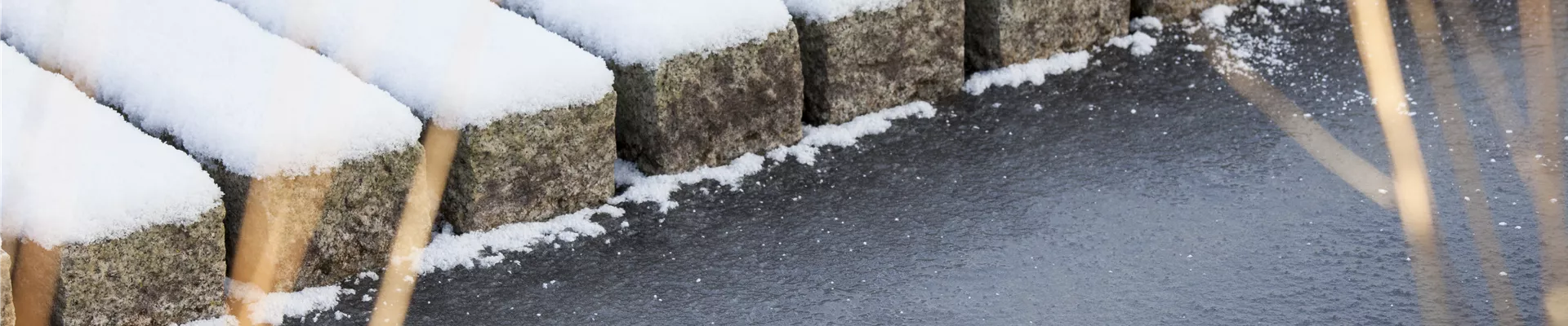 GS472614.jpg GS472614.jpg