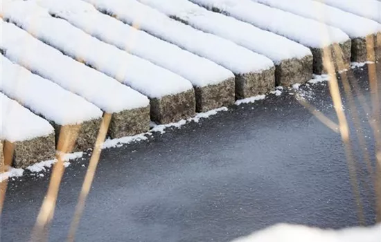 Teichbeheizung im Winter: Fische sind Warmduscher Teichbeheizung im Winter: Fische sind Warmduscher