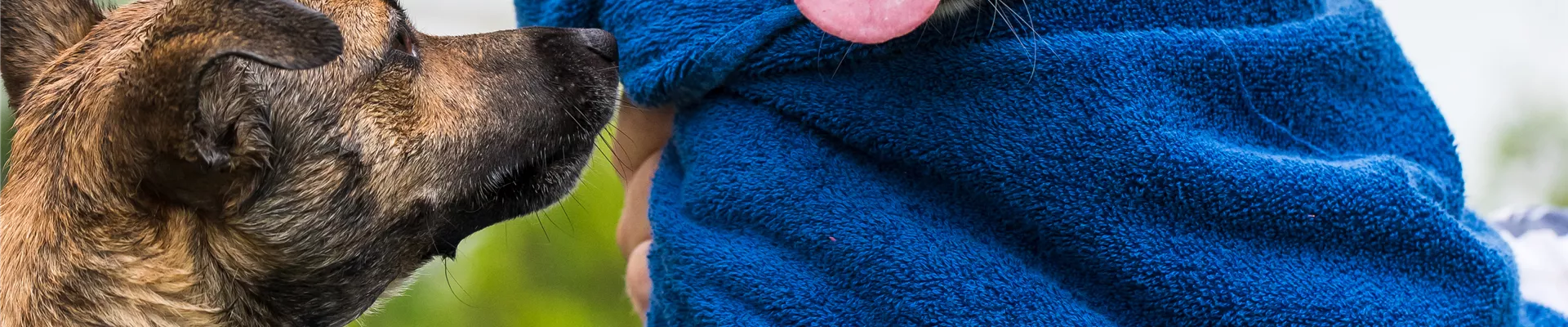 GS535790.jpg GS535790.jpg