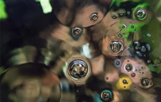 Wasserqualität – das A und O der Aquariumspflege Wasserqualität – das A und O der Aquariumspflege