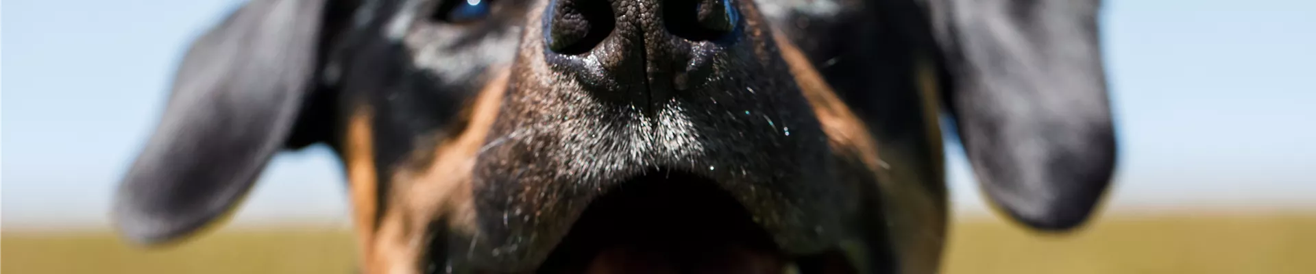 GS536132.jpg GS536132.jpg