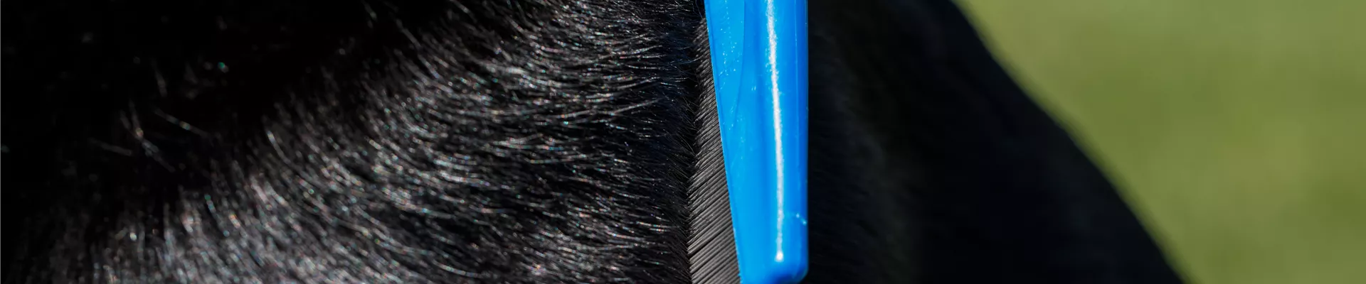 GS536106.jpg GS536106.jpg