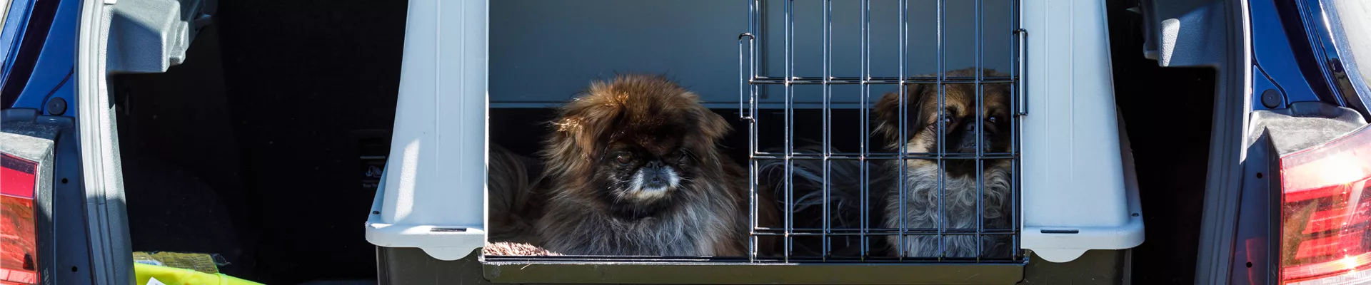 GS535960.jpg GS535960.jpg