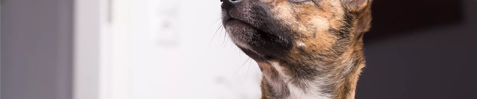 GS535831.jpg GS535831.jpg