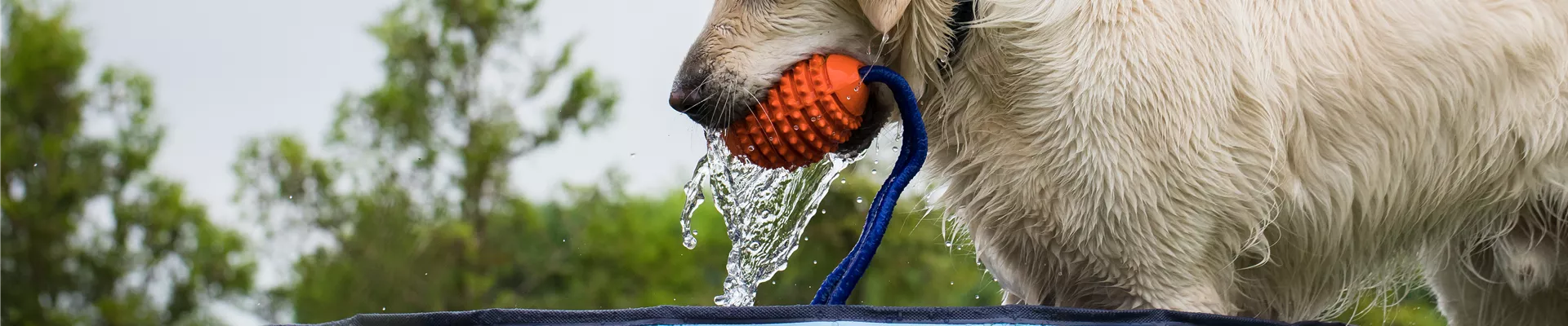 GS535774.jpg GS535774.jpg