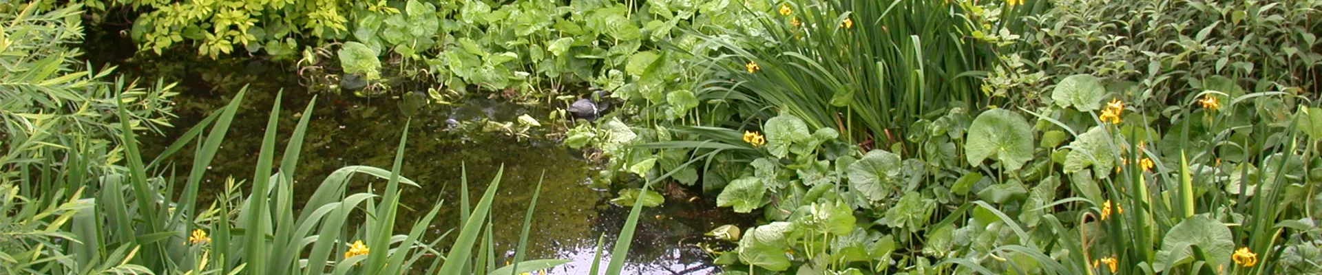 GS614152.jpg GS614152.jpg