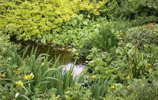 Achtung, fertig, Gartenteich! Von der Planung bis zur Umsetzung Achtung, fertig, Gartenteich! Von der Planung bis zur Umsetzung
