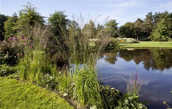 Der richtige Teich für jeden Garten Der richtige Teich für jeden Garten