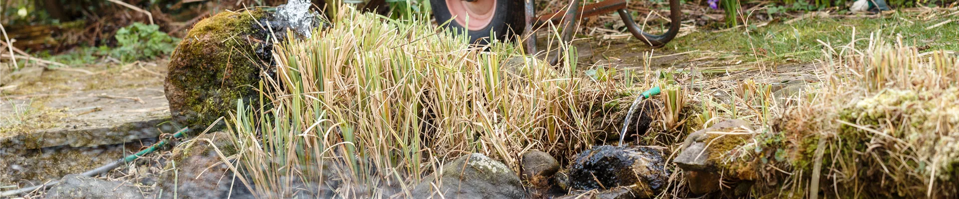 GS530953.jpg GS530953.jpg