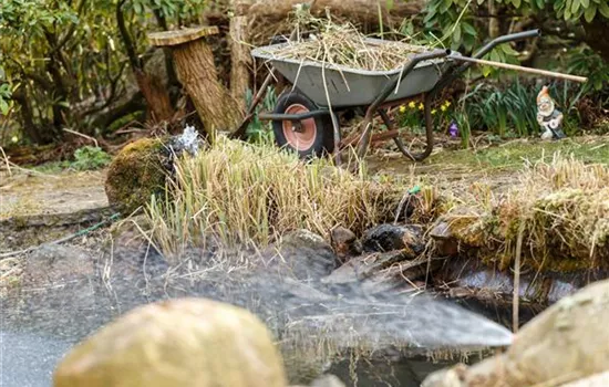 Es ist Putztag! Natürliche Pflege für den Gartenteich