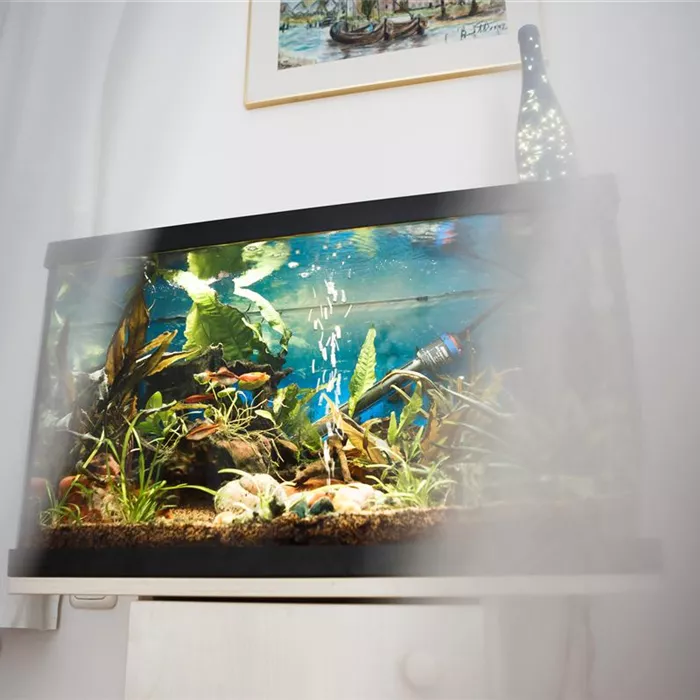 Kleine Helferlein, große Wirkung: Praktische Tools fürs Aquarium Kleine Helferlein, große Wirkung: Praktische Tools fürs Aquarium