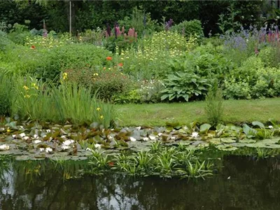 Urlaub für den Teichfilter – oder lieber doch nicht? Urlaub für den Teichfilter – oder lieber doch nicht?