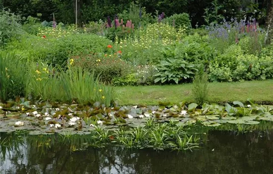Urlaub für den Teichfilter – oder lieber doch nicht? Urlaub für den Teichfilter – oder lieber doch nicht?