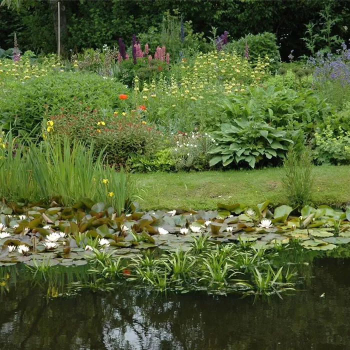 Urlaub für den Teichfilter – oder lieber doch nicht? Urlaub für den Teichfilter – oder lieber doch nicht?