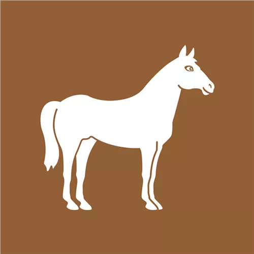 Reitsport Reitsport