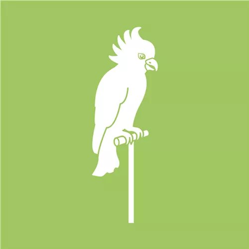 Vögel Vögel