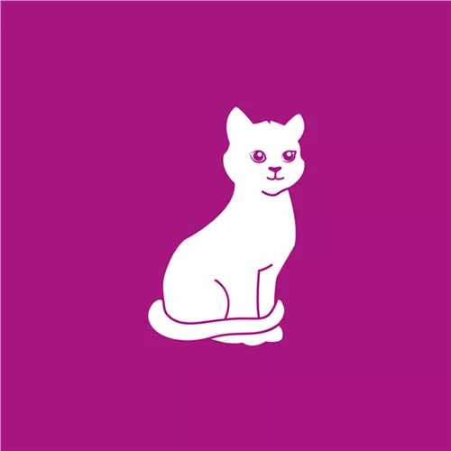 Katzen Katzen