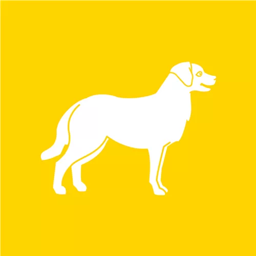 Hunde Hunde