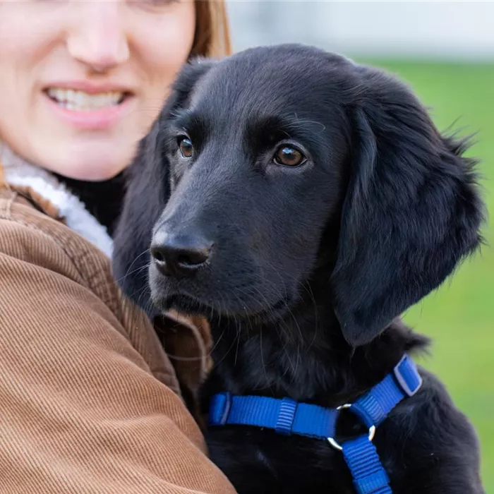 Tiernetzwerk Tiernetzwerk