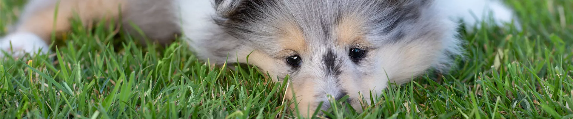 GS605879-0-2082-6720-1440.jpg GS605879-0-2082-6720-1440.jpg