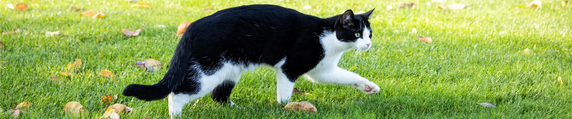 GS696149-0-2105-5946-1274.jpg GS696149-0-2105-5946-1274.jpg