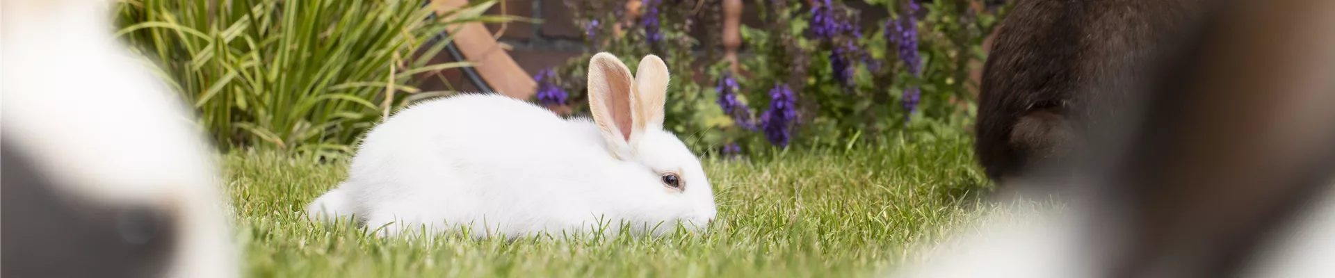 GS585939-0-1785-6720-1440.jpg GS585939-0-1785-6720-1440.jpg