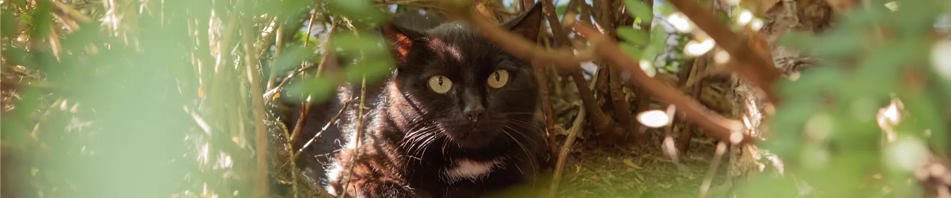 GS613541.jpg GS613541.jpg