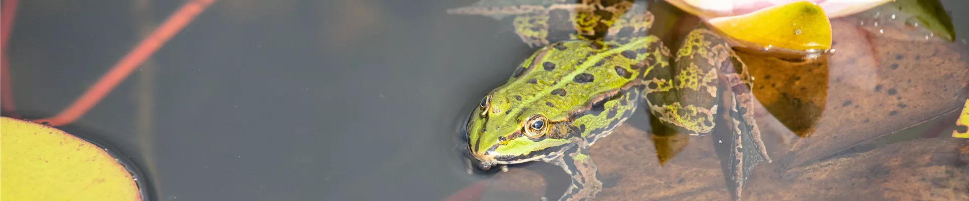 GS674399-0-1172-6720-1440.jpg GS674399-0-1172-6720-1440.jpg