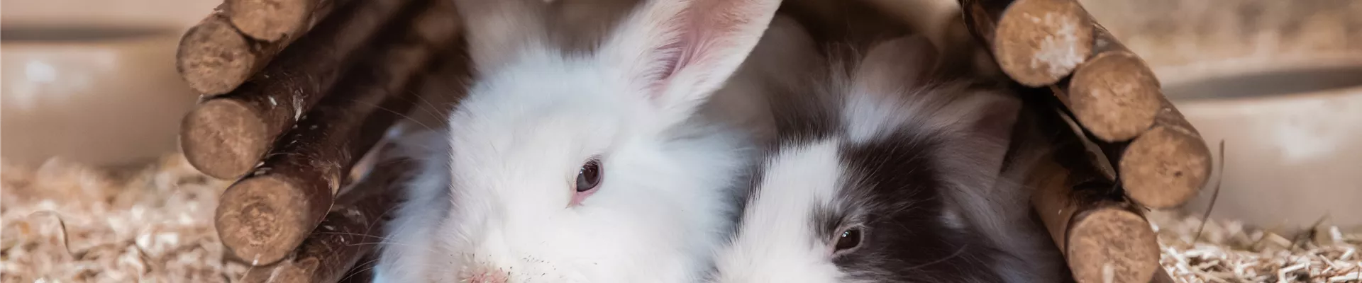 Zoo_Burkart_007.jpg Zoo_Burkart_007.jpg