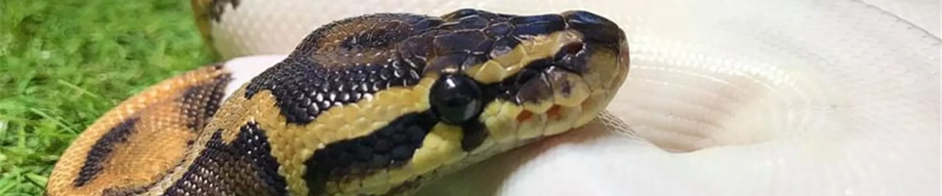 02 (1).jpg 02 (1).jpg