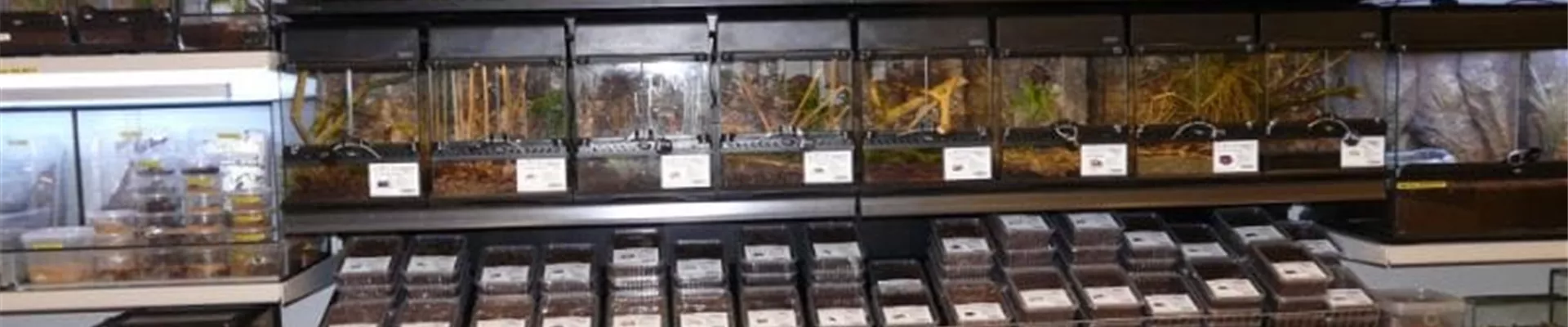 Burkart_Sortiment_Terra_0103.jpg Burkart_Sortiment_Terra_0103.jpg