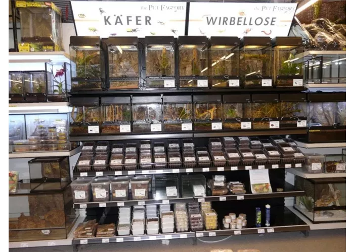 Käfer bei Zoo Burkart Käfer bei Zoo Burkart