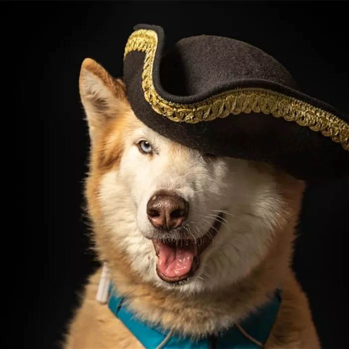 Fotoshooting Oktober 2020