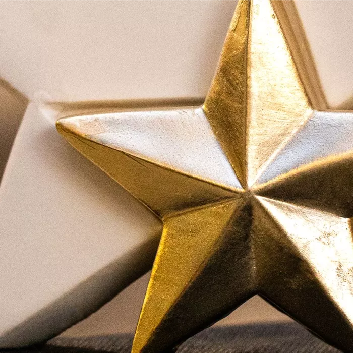 Weihnachts-Wunschbaum 2020