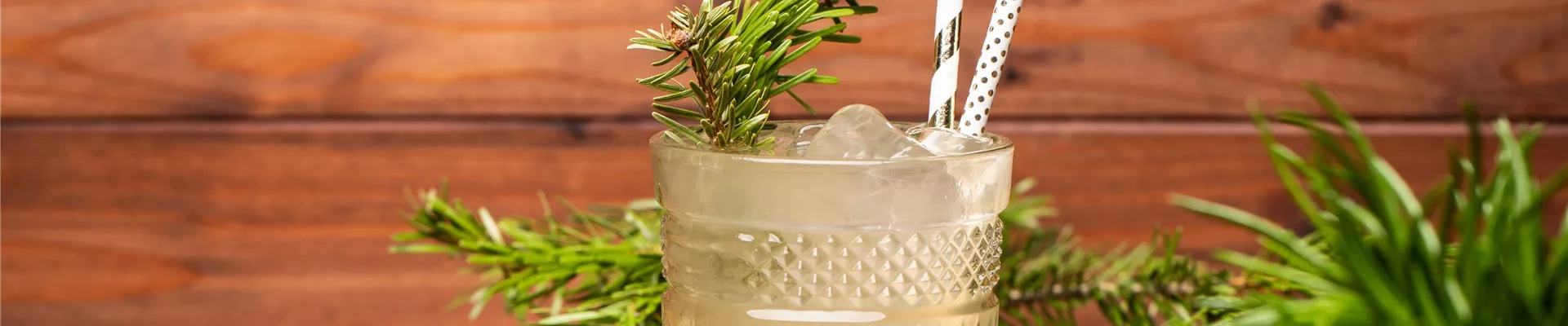 GS645917-0-1219-6200-1328.jpg GS645917-0-1219-6200-1328.jpg