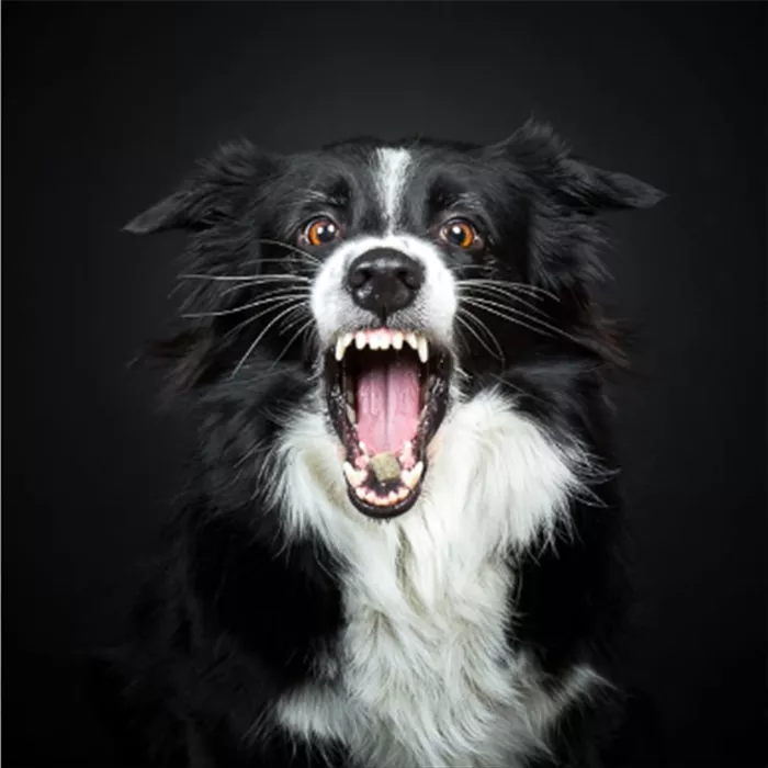 Rückblicke Rückblicke