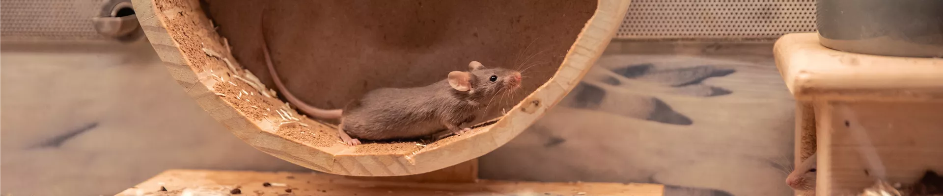 MMR Fotografie _053.jpg MMR Fotografie _053.jpg