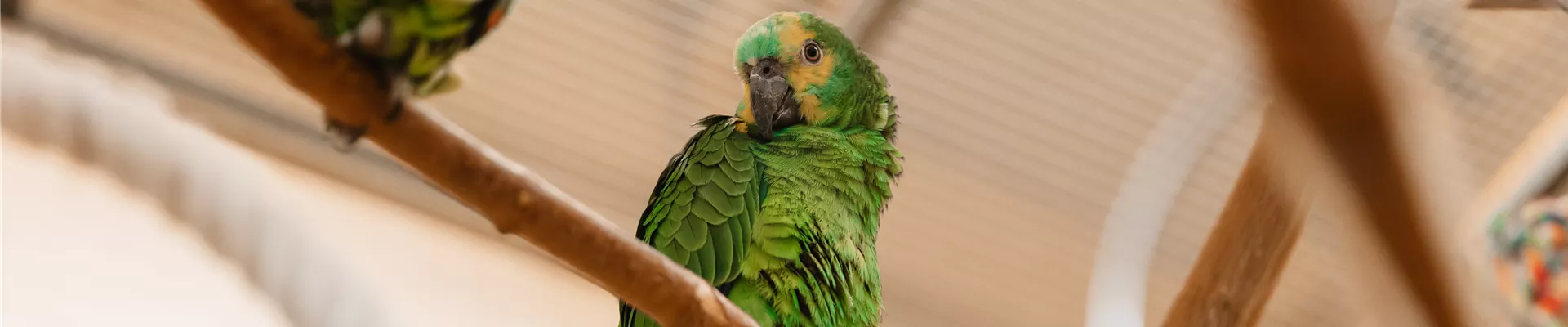 Zoo_Burkart_005.jpg Zoo_Burkart_005.jpg