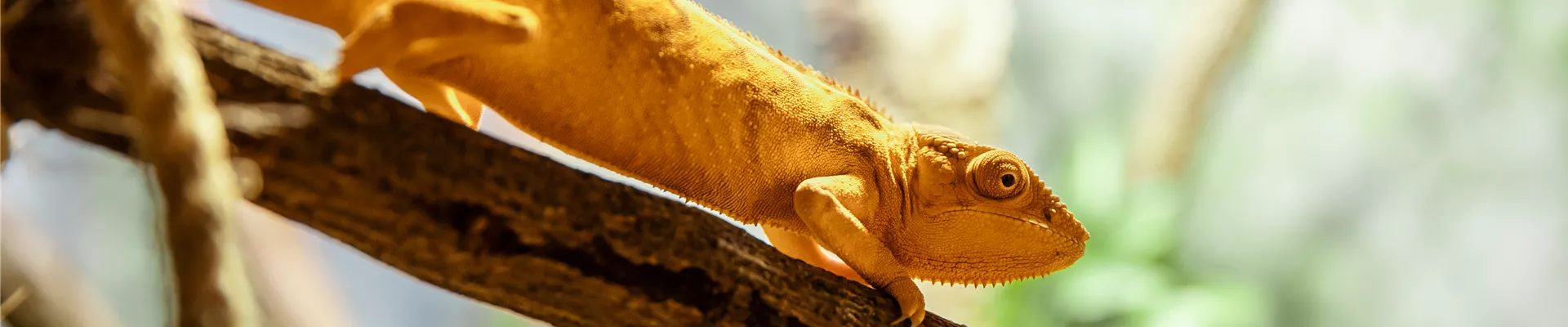 MMR Fotografie _195.jpg MMR Fotografie _195.jpg