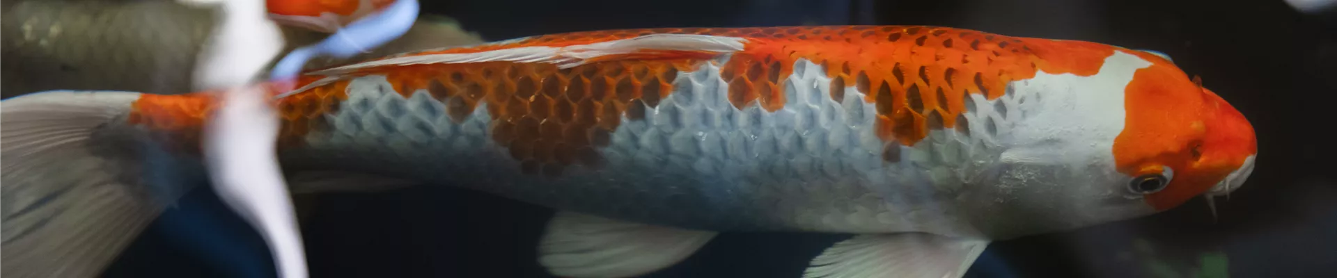 MMR Fotografie _260.jpg MMR Fotografie _260.jpg