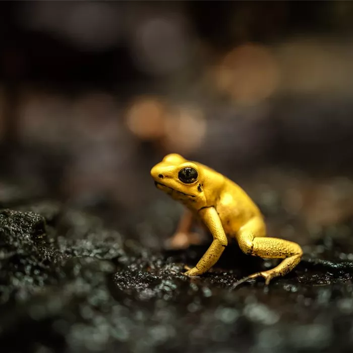 Neuigkeiten Neuigkeiten